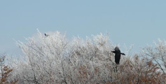 Jeden letí, druhý čaká