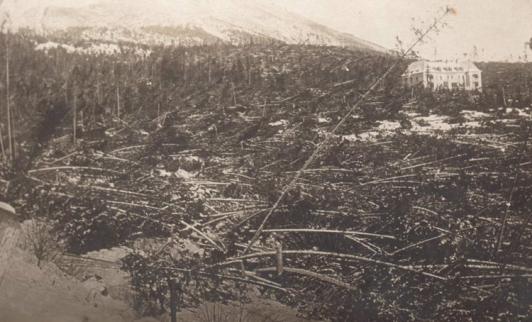 Tatry - kalamita v roku 1915 - 2